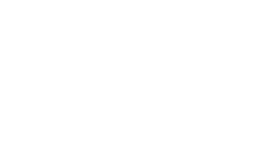 New Horizon Audio