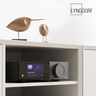 Lyngdorf TDAI-2210 - 2