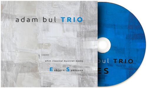 DNA010: Adam Bul Trio - When classical musician meets Esbjorn Svensson