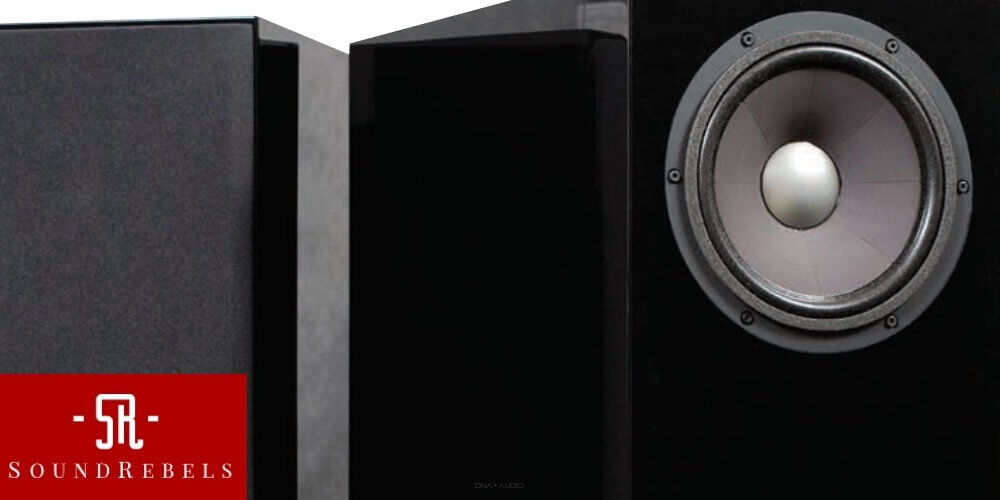 Recenzja Davis Acoustics MV One - Portal SoundRebels