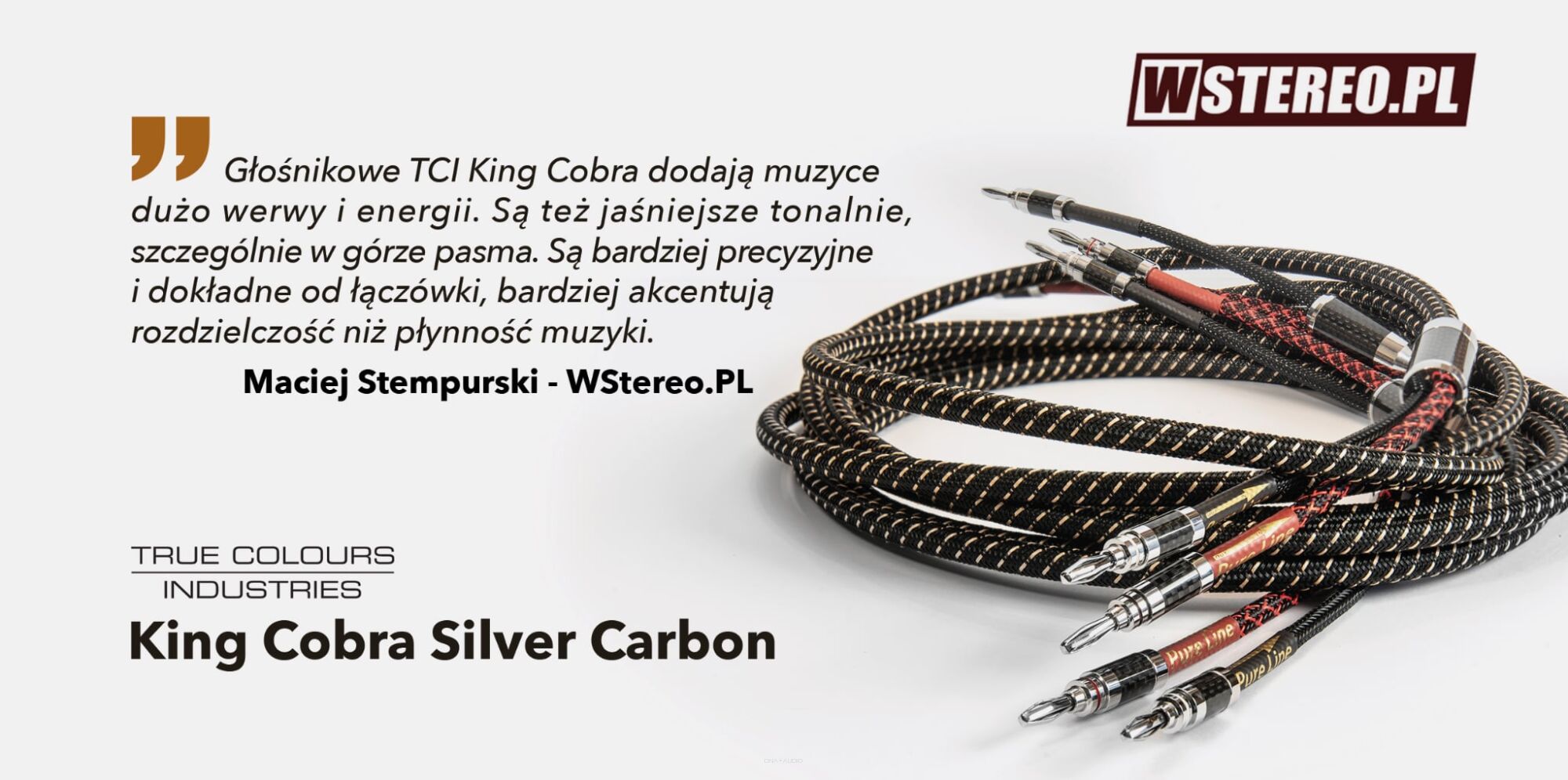 Recenzja TCI King Cobra Silver Carbon - Magazyn wstereo.pl